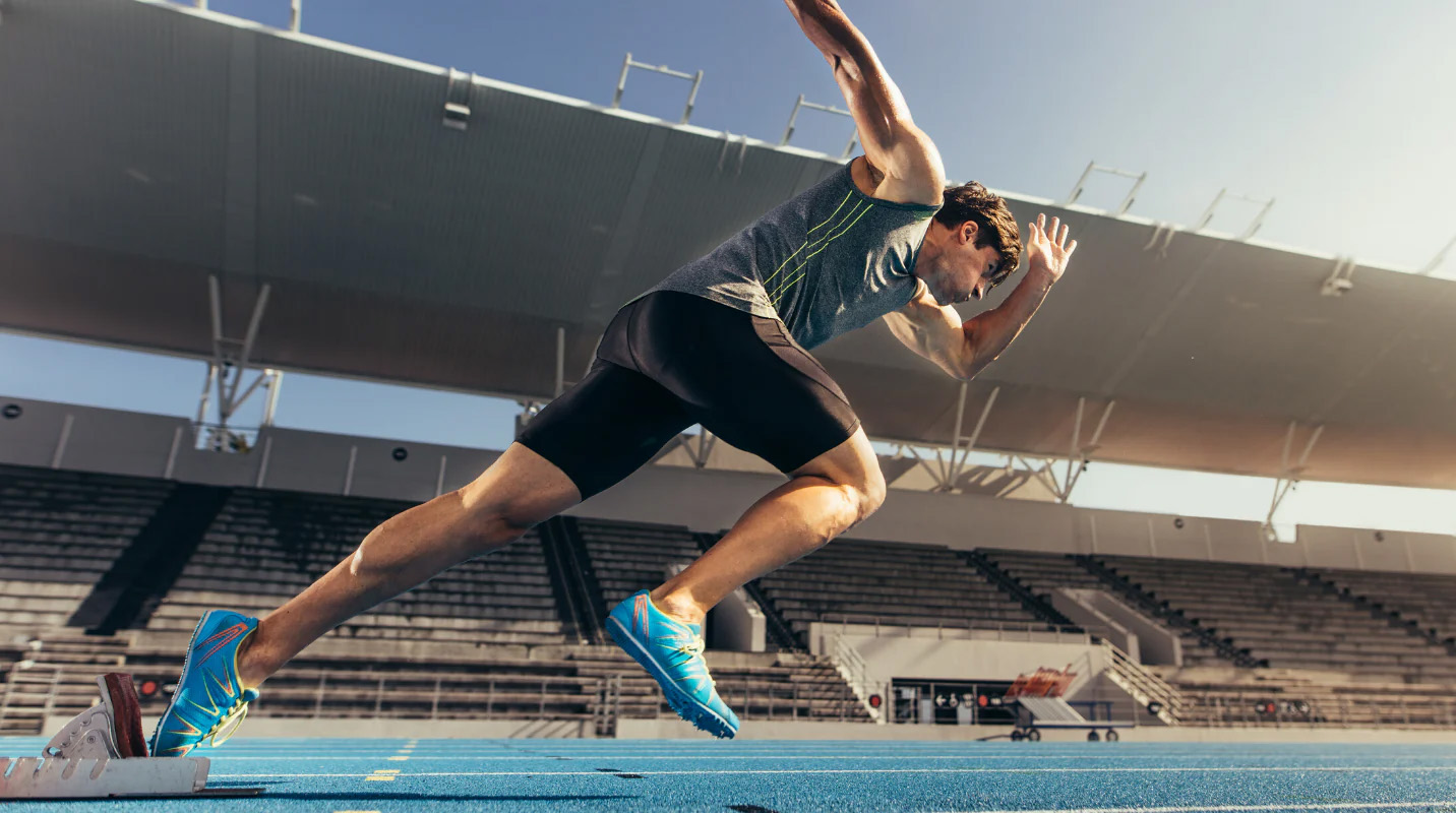 Optimal Shoe Store -Optimal Shoe Store 2