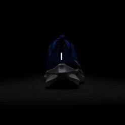 Nike Youth Pegasus 40 Running Shoe - Game Royal/White/Deep Royal - Regular (D) -Optimal Shoe Store AURORA DX2498 400 PHSBH200 2000