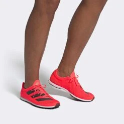 ADIDAS ADIZERO XC Sprint Spike - Signal Pink/Core Black/Cloud White-Regular (D) -Optimal Shoe Store Adizero XC Sprint Shoes Pink EG8454 010 hover standard