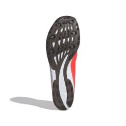 ADIDAS ADIZERO XC Sprint Spike - Signal Pink/Core Black/Cloud White-Regular (D) -Optimal Shoe Store Adizero XC Sprint Shoes Pink EG8454 03 standard