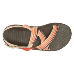 Chaco Men's Z Cloud Sandal - Scoop Dusk - Regular (D) -Optimal Shoe Store CHAM JCH108677 012422 S23 TOP 1