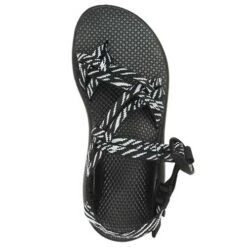 Chaco Women's Z Cloud X2 Sandal - Wily B&W - Regular (B) -Optimal Shoe Store CHAW JCH109038 021821 S22 TOP
