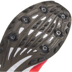 ADIDAS Women's Adizero XC Sprint Spike - Signal Pink/Core Black/TWR White- Regular (B) -Optimal Shoe Store EG8462 04