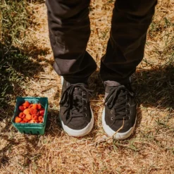 Men's X-Scape NBK Low Sneaker - Black/White - Regular (D) -Optimal Shoe Store mens x scape nbk low black white ls 1 800x 3a6d1a12 7fd3 4c79 ac9d 13c24d0fd9ec