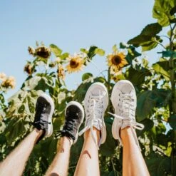 Women's X-SCAPE NBK Low Sneaker - Blanc/Light Grey - Regular (B) -Optimal Shoe Store womens x scape nbk low blanc light grey ls 3 800x 70e971bc eee0 4189 bdde 434a0688a562